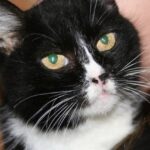 Фрида дома!!!!