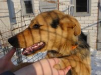 Арамис Фото3