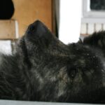 Стьюша наконец уехала в семью!!!!!