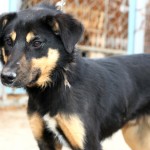 Дика забрали в семью!!