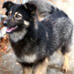 Жуля уехала домой!!!!