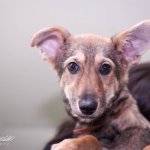 Активная Найда дома