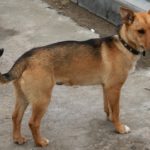 Дина уехала домой!!