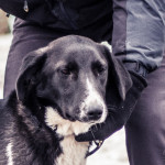 Дивная  Диана дома)