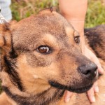 Активный Зак дома.