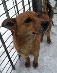 Жизнерадостный Джимми