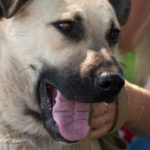 Общительный Малыш уехал домой! 