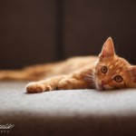 Общительный Лёвушка уехал домой)