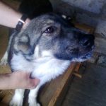 Тая уехала домой!!!