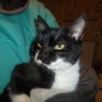 Инь-янь уехал в Минск!!