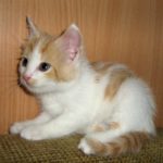 Злата — ласковое солнышко уже дома!!!