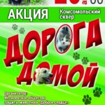Акция «Дорога домой»
