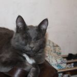 Сильвия… сцена… театр… и мы…