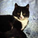 Марио дома!!!